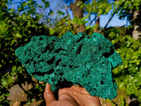 Natural Silky Malachite Specimens x 1 From Kasompe, Congo