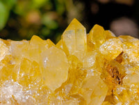 Natural Limonite Quartz Clusters x 4 From Zambia
