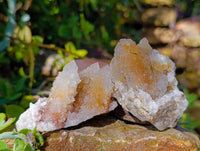 Natural Limonite Spirit Quartz Clusters x 17 From Boekenhouthoek, South Africa