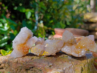 Natural Limonite Spirit Quartz Clusters x 17 From Boekenhouthoek, South Africa