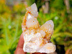 Natural Limonite Spirit Quartz Clusters x 17 From Boekenhouthoek, South Africa - Toprock Gemstones and Minerals 