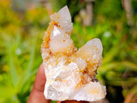 Natural Limonite Spirit Quartz Clusters x 17 From Boekenhouthoek, South Africa