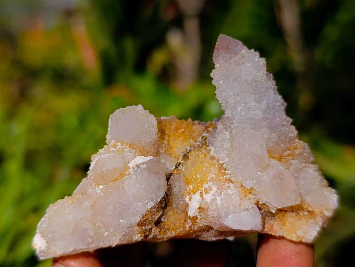 Natural Limonite Spirit Quartz Clusters x 17 From Boekenhouthoek, South Africa - Toprock Gemstones and Minerals 