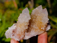 Natural Limonite Spirit Quartz Clusters x 17 From Boekenhouthoek, South Africa