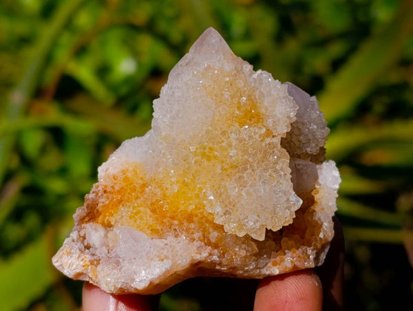 Natural Limonite Spirit Quartz Clusters x 17 From Boekenhouthoek, South Africa