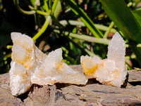 Natural Limonite Spirit Quartz Clusters x 17 From Boekenhouthoek, South Africa