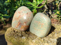 Polished Amazonite Standing Free Forms  x 12 From Madagascar