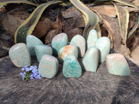 Polished Amazonite Standing Free Forms  x 12 From Madagascar