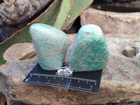 Polished Amazonite Standing Free Forms  x 12 From Madagascar