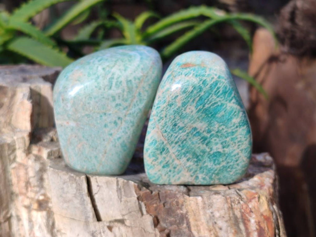 Polished Amazonite Standing Free Forms  x 12 From Madagascar - Toprock Gemstones and Minerals 
