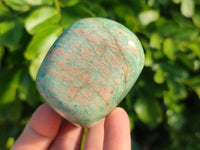 Polished Amazonite Standing Free Forms  x 12 From Madagascar