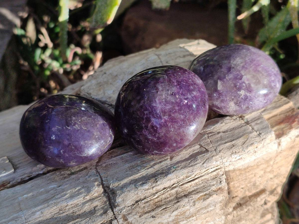 Polished Lepidolite with Pink Rubellite Palm Stones x 15 From Ambatondrazaka, Madagascar - Toprock Gemstones and Minerals 