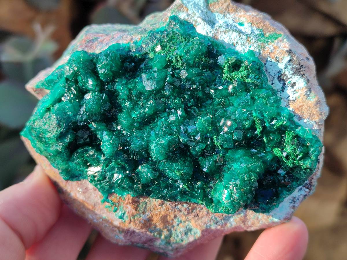 Natural Dioptase Crystals on Dolomite Matrix Specimens x 4 From Likasi, Congo - Toprock Gemstones and Minerals 