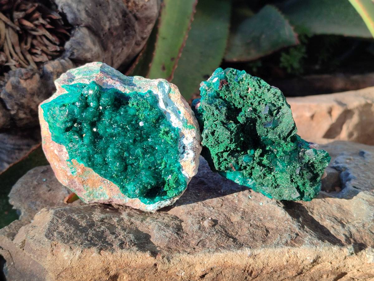 Natural Dioptase Crystals on Dolomite Matrix Specimens x 4 From Likasi, Congo - Toprock Gemstones and Minerals 
