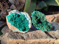 Natural Dioptase Crystals on Dolomite Matrix Specimens x 4 From Likasi, Congo