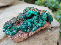 Natural Dioptase Crystals on Dolomite Matrix Specimens x 4 From Likasi, Congo