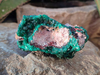 Natural Dioptase Crystals on Dolomite Matrix Specimens x 4 From Likasi, Congo