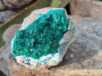 Natural Dioptase Crystals on Dolomite Matrix Specimens x 4 From Likasi, Congo