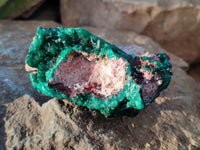 Natural Dioptase Crystals on Dolomite Matrix Specimens x 4 From Likasi, Congo