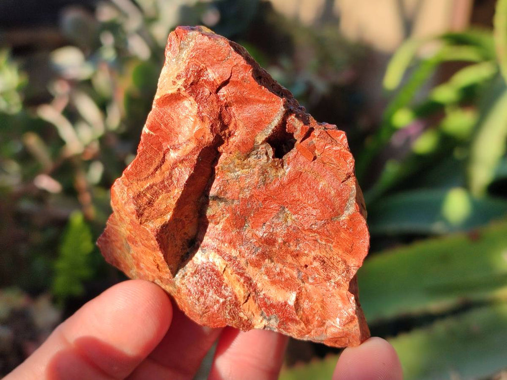 Natural Brecciated Jasper Cobbed Pieces x 18 From South Africa - Toprock Gemstones and Minerals 