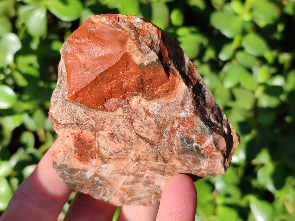 Natural Brecciated Jasper Cobbed Pieces x 18 From South Africa - Toprock Gemstones and Minerals 