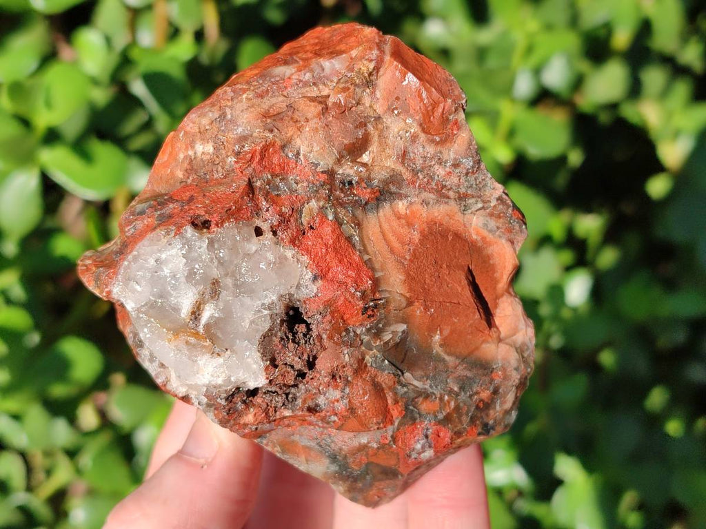 Natural Brecciated Jasper Cobbed Pieces x 18 From South Africa - Toprock Gemstones and Minerals 