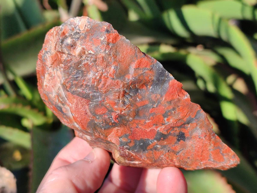 Natural Brecciated Jasper Cobbed Pieces x 18 From South Africa - Toprock Gemstones and Minerals 