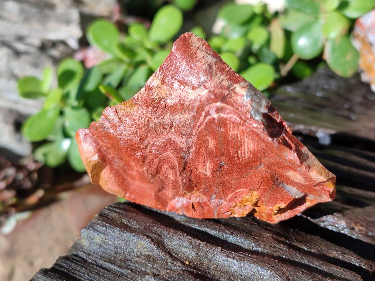 Natural Brecciated Jasper Cobbed Pieces x 18 From South Africa - Toprock Gemstones and Minerals 