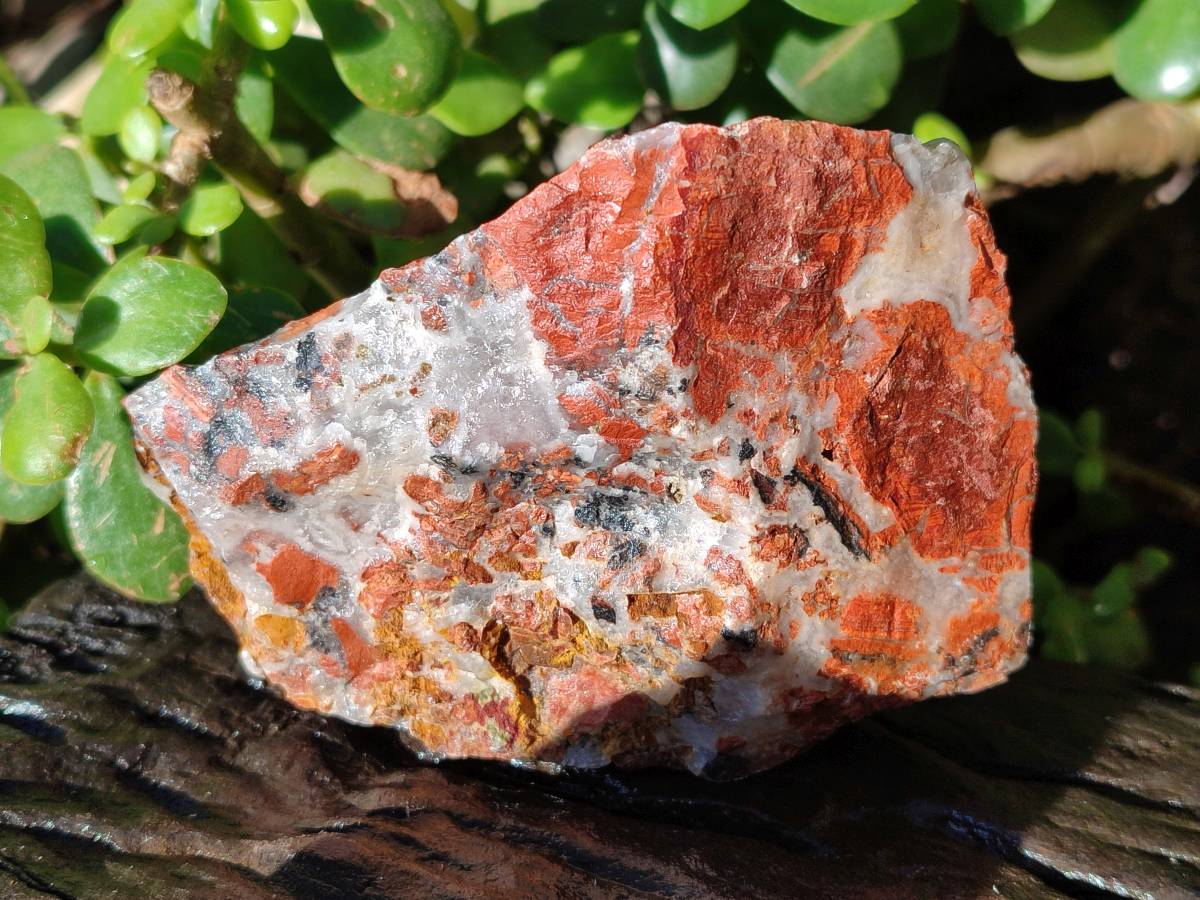 Natural Brecciated Jasper Cobbed Pieces x 18 From South Africa - Toprock Gemstones and Minerals 