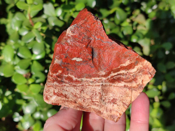 Natural Brecciated Jasper Cobbed Pieces x 18 From South Africa