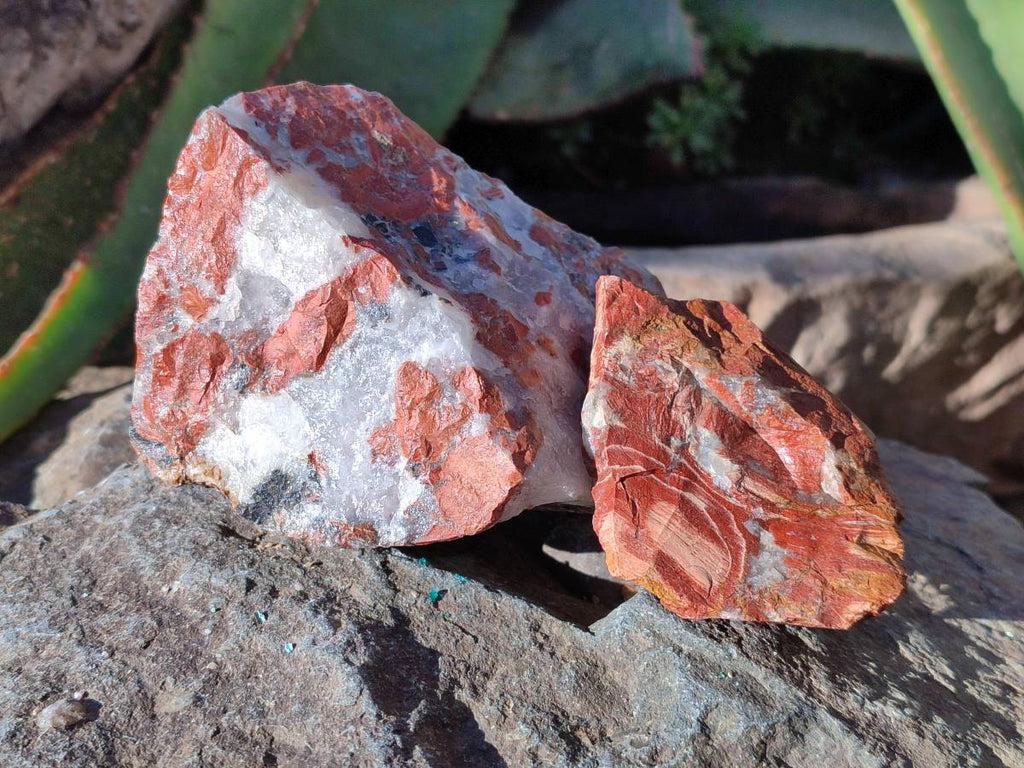 Natural Brecciated Jasper Cobbed Pieces x 18 From South Africa - Toprock Gemstones and Minerals 