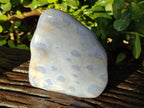 Polished Blue Lace Agate Free Forms x 4 From Nsanje, Malawi - Toprock Gemstones and Minerals 