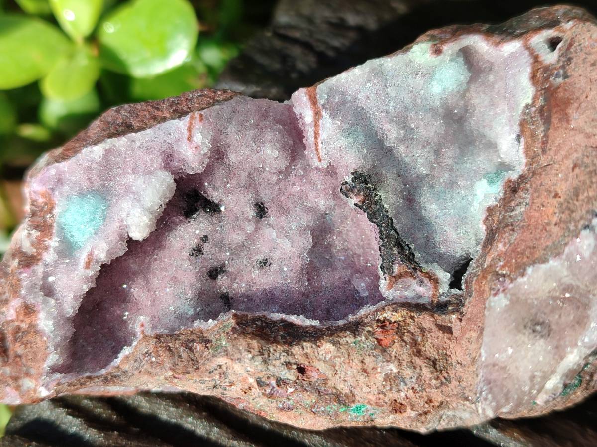 Natural Drusy Salrose on Dolomite Matrix Specimens x 6 From Kakanda, Congo - Toprock Gemstones and Minerals 