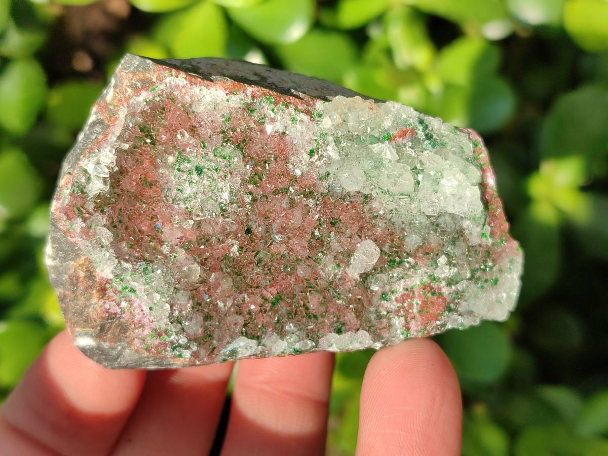 Natural Drusy Salrose on Dolomite Matrix Specimens x 6 From Kakanda, Congo - Toprock Gemstones and Minerals 