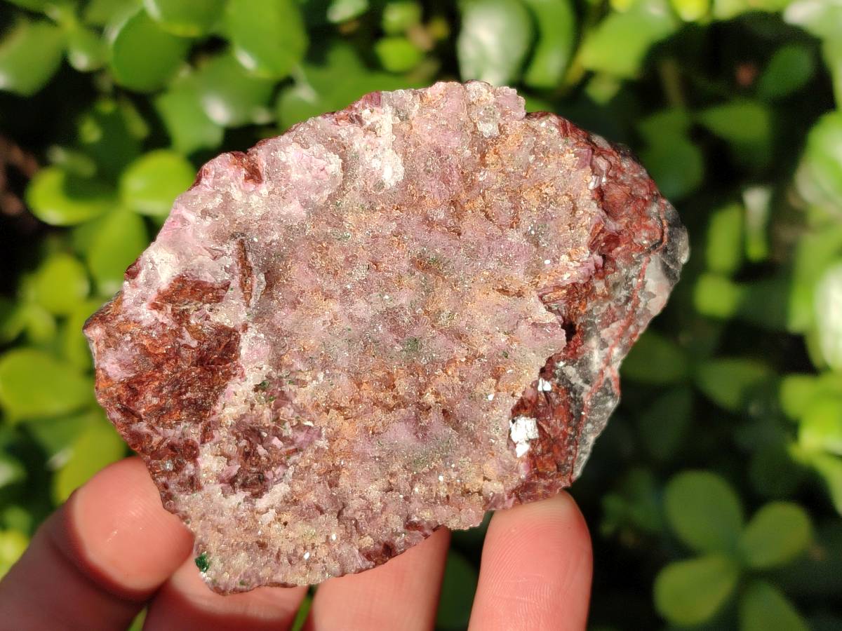 Natural Drusy Salrose on Dolomite Matrix Specimens x 6 From Kakanda, Congo - Toprock Gemstones and Minerals 