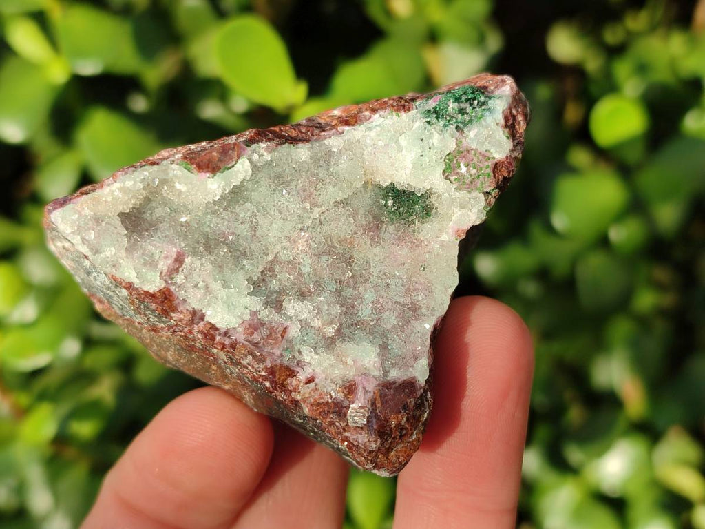 Natural Drusy Salrose on Dolomite Matrix Specimens x 6 From Kakanda, Congo - Toprock Gemstones and Minerals 