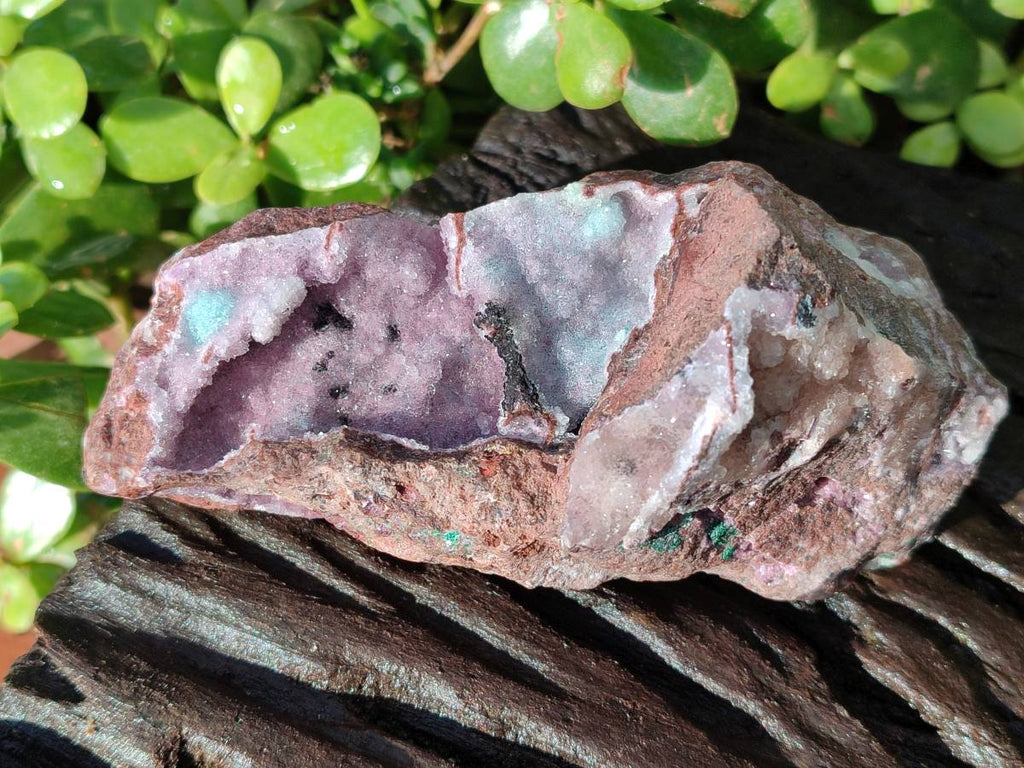 Natural Drusy Salrose on Dolomite Matrix Specimens x 6 From Kakanda, Congo - Toprock Gemstones and Minerals 