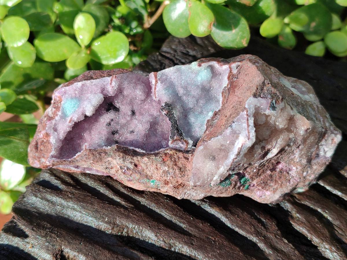 Natural Drusy Salrose on Dolomite Matrix Specimens x 6 From Kakanda, Congo - Toprock Gemstones and Minerals 