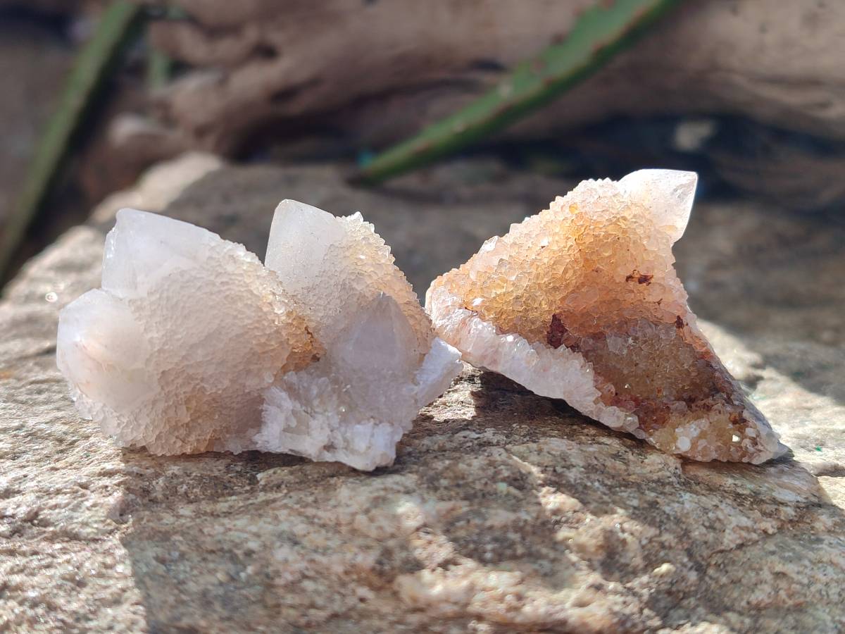 Natural Golden Limonite Coated Spirit Quartz Crystals x 35 From Boekenhouthoek, South Africa - Toprock Gemstones and Minerals 