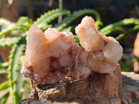 Natural Golden Limonite Coated Spirit Quartz Crystals x 35 From Boekenhouthoek, South Africa - Toprock Gemstones and Minerals 