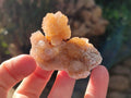 Natural Golden Limonite Coated Spirit Quartz Crystals x 35 From Boekenhouthoek, South Africa - Toprock Gemstones and Minerals 