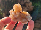 Natural Golden Limonite Coated Spirit Quartz Crystals x 35 From Boekenhouthoek, South Africa - Toprock Gemstones and Minerals 