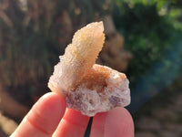 Natural Golden Limonite Coated Spirit Quartz Crystals x 35 From Boekenhouthoek, South Africa - Toprock Gemstones and Minerals 