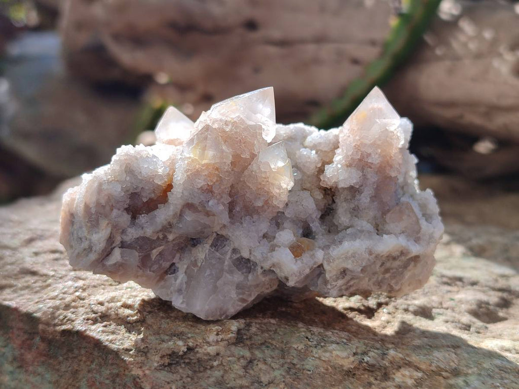 Natural Golden Limonite Coated Spirit Quartz Clusters x 12 From Boekenhouthoek, South Africa - Toprock Gemstones and Minerals 