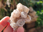 Natural Golden Limonite Coated Spirit Quartz Clusters x 12 From Boekenhouthoek, South Africa - Toprock Gemstones and Minerals 