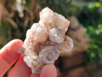Natural Golden Limonite Coated Spirit Quartz Clusters x 12 From Boekenhouthoek, South Africa - Toprock Gemstones and Minerals 