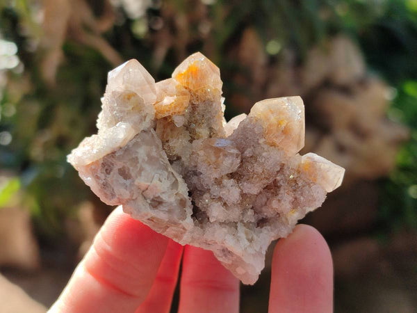 Natural Golden Limonite Coated Spirit Quartz Clusters x 12 From Boekenhouthoek, South Africa