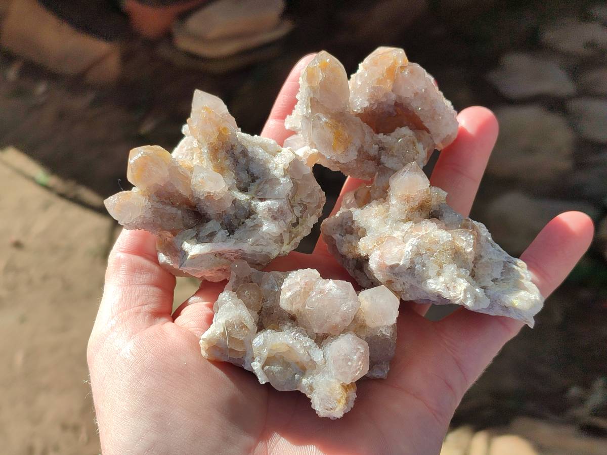 Natural Golden Limonite Coated Spirit Quartz Clusters x 12 From Boekenhouthoek, South Africa - Toprock Gemstones and Minerals 
