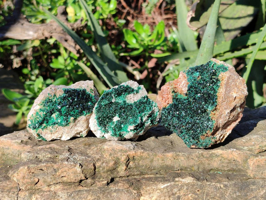 Natural Crystalline Malachite Specimens x 6 From Likasi, Congo - Toprock Gemstones and Minerals 
