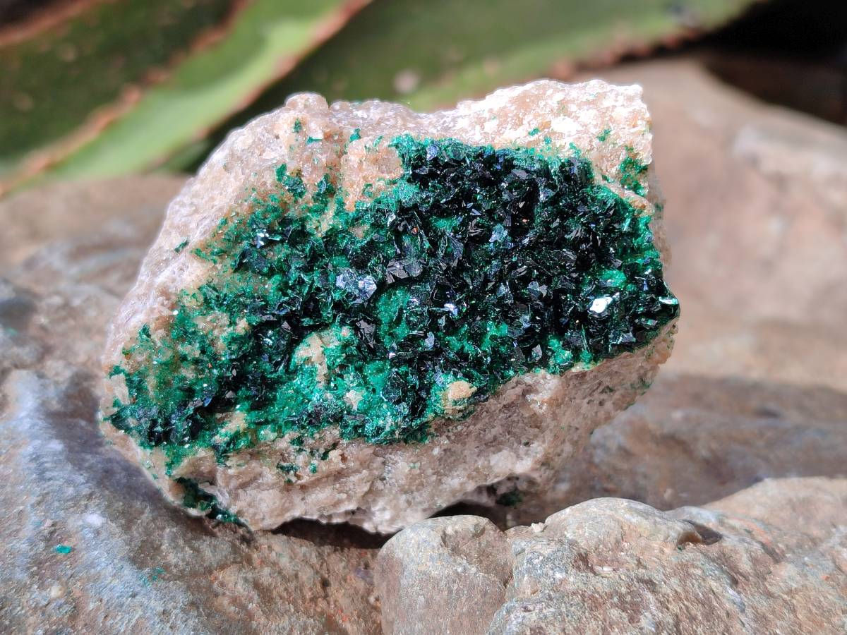 Natural Crystalline Malachite Specimens x 6 From Likasi, Congo - Toprock Gemstones and Minerals 